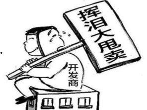 保定买房最新爆料,揭秘最新购房爆料与趋势  第3张