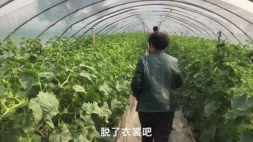 网红农村女孩吃瓜图片大全,网红农村女孩吃瓜图片大盘点  第2张