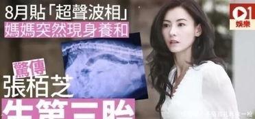 黄璐爆料张柏芝视频播放,引发网友热议  第1张